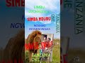 LIMBU LUCHAGULA UJUMBE WA GWANDI NEW MPYA MSABAZAJI 0754878773