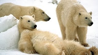 Top 10 Best Place To Visit In Canada