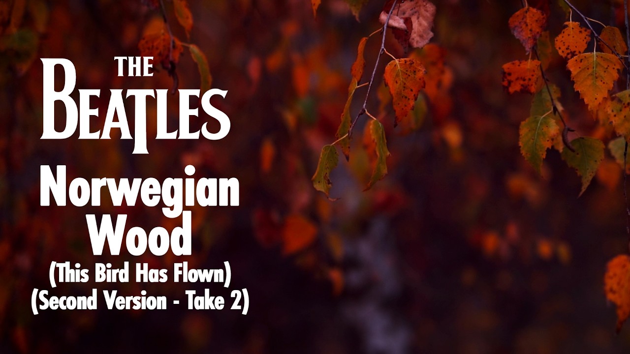 Norwegian Wood (This Bird Has Flown) (Second version - Take 2) (Visualiser) - YouTube