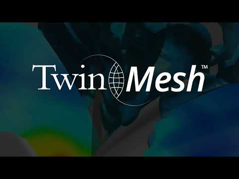 TwinMesh™ - Reliable CFD Analysis of Rotary Positive Displacement Machines