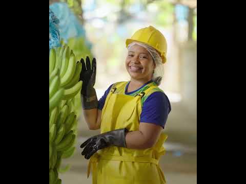 Thumb Fruit Atraction Esteban