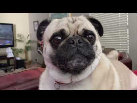 A tribute to Kato "The Kid" from The Tall Man