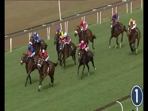 Race   Surcharge 03 February