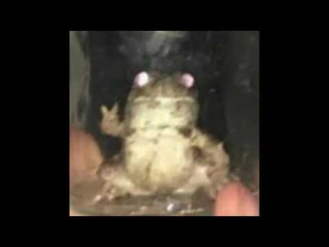 (FREE) Kid Mess x Ewans Type Beat - "MAKANA" HARD Trap (Prod._bip0lar2.0)