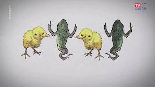 Video-Thumbnail von YouTube