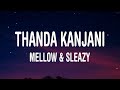 Mellow & Sleazy - Thanda Kanjani (Lyrics) Feat. Pabi Cooper, Reece Madlisa  & dj maphorisa zuma