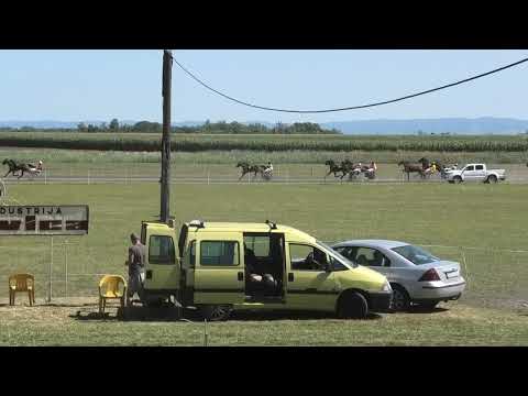 Trka "SZR Geos-Elektromont Despotovo" 17.7.2022. Čegar - Topalov Aleksandar