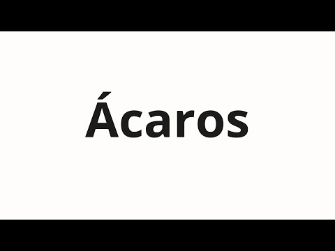 How to pronounce Ácaros