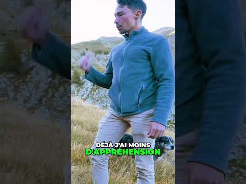 Transmontano et Berger d'Anatolie