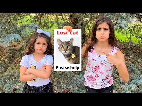 Deema and Sally lost our Cat story