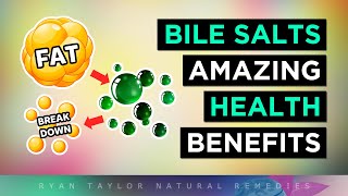 The INCREDIBLE Benefits of Bile Salts (Ox Bile & TUDCA)