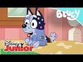 Bluey: Bingo está malita | Disney Junior Oficial