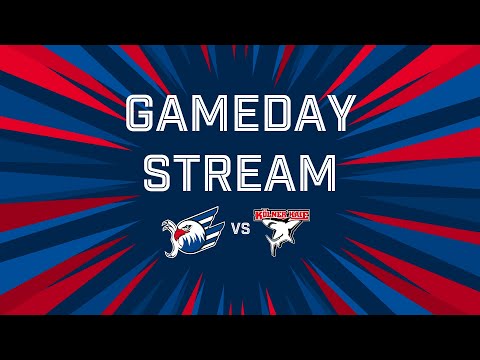 Gameday-Stream: Adler Mannheim VS. Kölner Haie