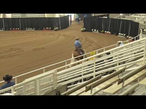 201001 Open Todd Sommers on Gunna Whoa