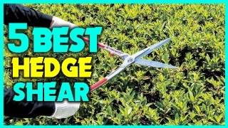 ✅Top 5 - Best Hedge Shear Clippers - Buying Guide