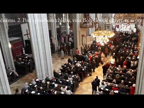 JKS 293 - Veľkú milosť udeľuješ (Dóm sv. Alžbety)