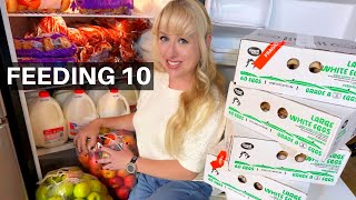 Massive Scratch Made Large Family Meals on a Budget
