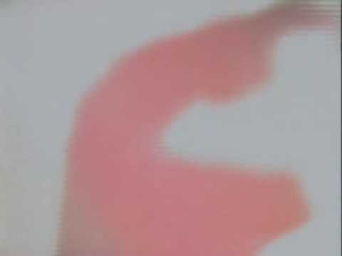 Massimo-Ponovo Zajedno