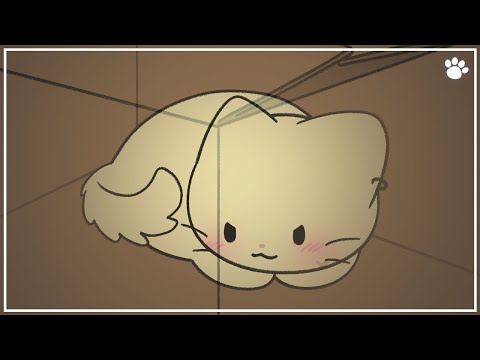 為什麼貓咪喜歡「箱子」?(Why Do Cats Love Boxes? | 3 Surprising Reasons Explained)