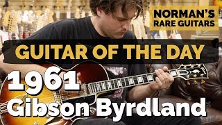 Video thumbnail for Guitar of the Day: 1961 Gibson Byrdland | Norman's Rare Guitars by Normans Rare Guitars