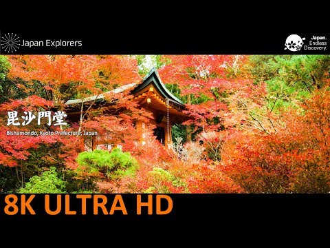毘沙門堂　京都の紅葉　Bishamondo [8K]
