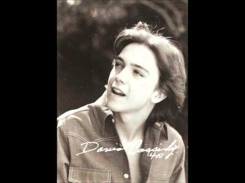 It's One Of Those Nights, Yes Love   David Cassidy