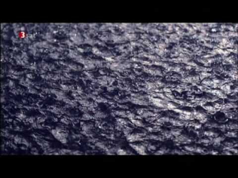 Unser Wissen ist ein Tropfen - 3sat | Teil 1