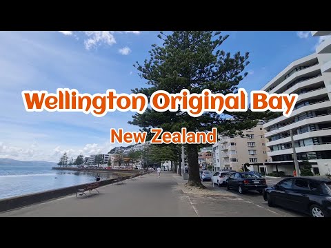 Explore Wellington's Oriental Bay: Come See the Stunning Views!