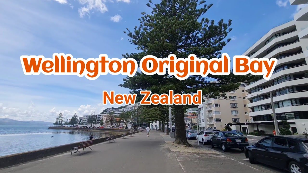 Discover a captivating glimpse of Oriental Bay.