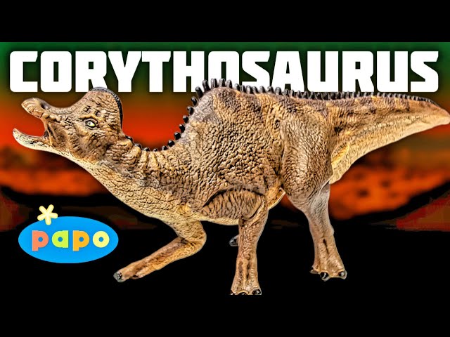 Vídeo relacionado con Papo - Hand-Painted Figurine - Corythosaurus - Dinosaurs - Collectible - for Children - Boys and Girls - Ages 3 and Up