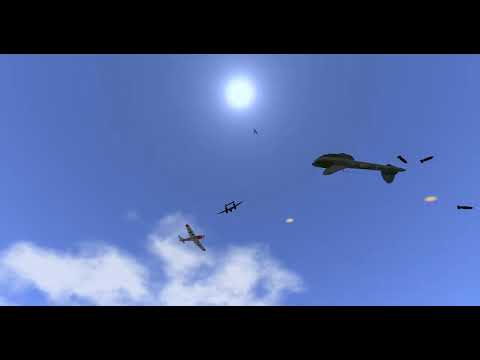 Dogfighting 220807 A