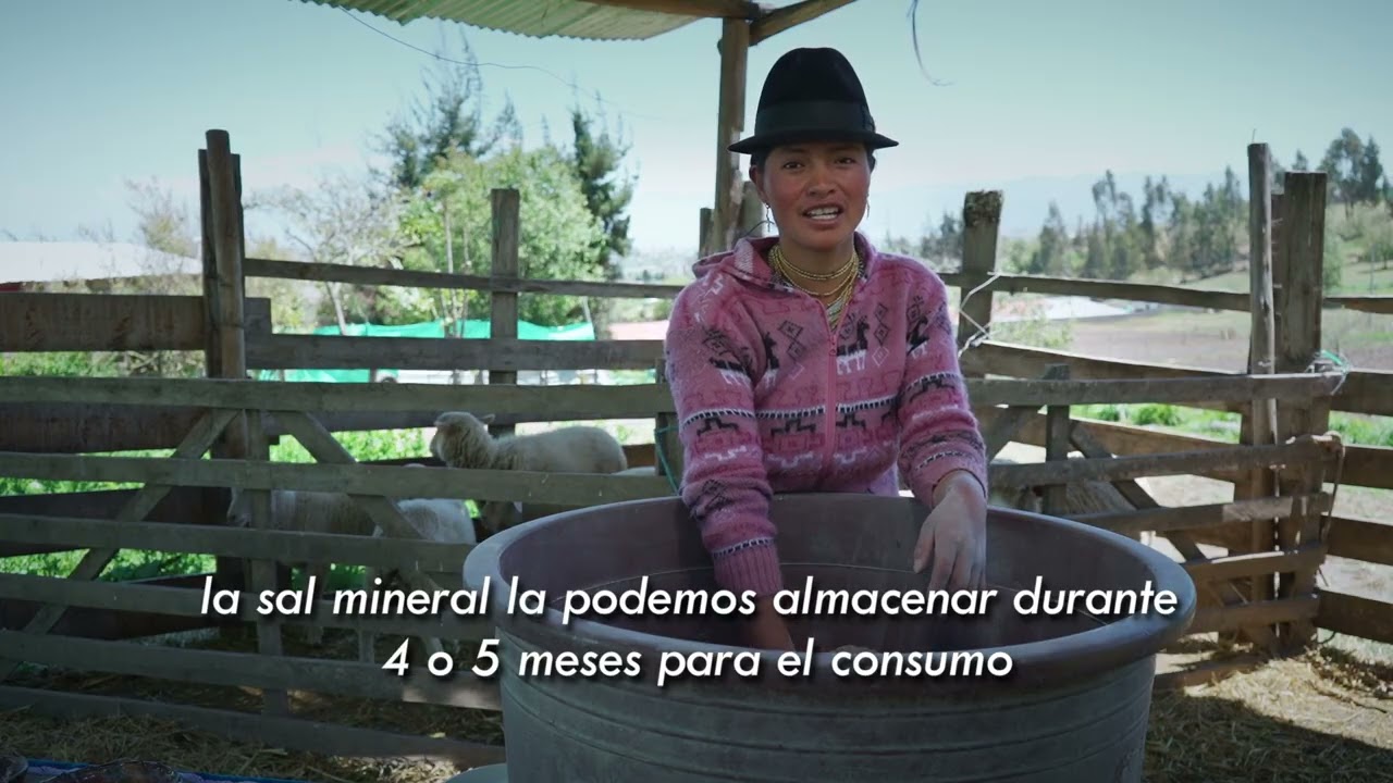 Sal mineral casera para animales de granja