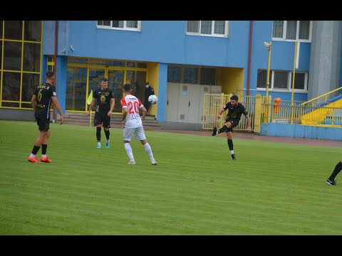 Gaz Metan joacă sâmbătă un amical cu FC Hermannstadt | novatv.ro