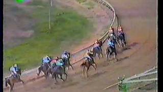 Download lagu FEROUZA THE BEST HORSE 20, '11H NIKH, 1000m !!!' mp3