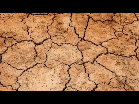 135# Réchauffement climatique : comment faire face au jardin nourricier ?