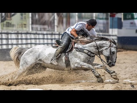 Wesley Safadão - Forró e Vaquejada