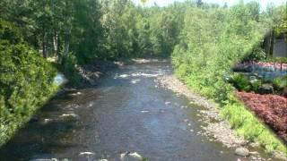 Lost in the Fifties Tonight (In the Still of the Night) (Ronnie Milsap)