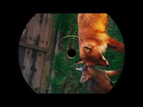 Metronomy x Biig Piig  - "405" (Helgon Edit)