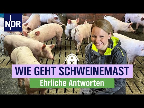 Jung, modern, Landwirtin: Gesa Langenberg und ihre Schweine | die nordstory | NDR