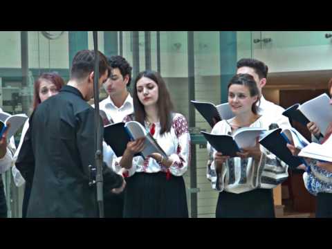 Corul Canticum - Sârba în căruță - G. Danga