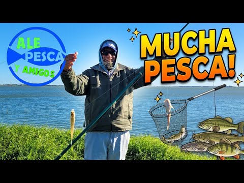 Pesca rápida y muy buena, gratis.