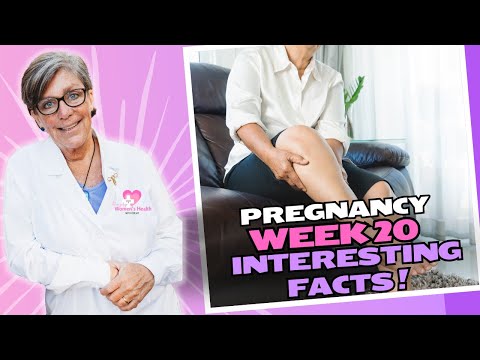 Pregnancy: Week 20. What You Need to Know.