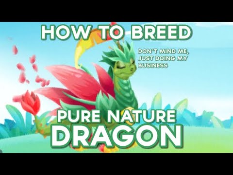 How To Breed The Pure Nature Dragon | Dragon City