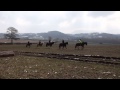 Greentraveller Video Of Tregoyd Mountain Riders Powys Mid Wales