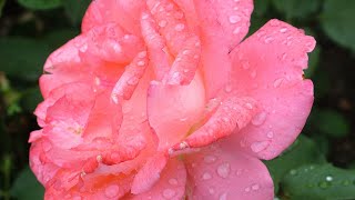 The Era of Self-Love