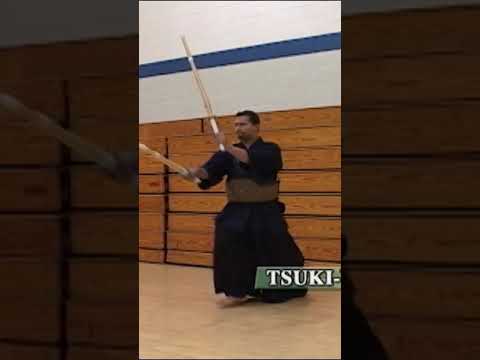 Kendo Nito-Ryu [Two Swords] Kendo Principles 4 Short12 Tsuki Uchi1 #shorts #二刀流 #kendo