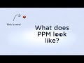 What does Parts Per Million (ppm) look like?