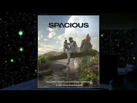[12+] "Spacious" FREE Loop and Sample Pack (JetsonMade, NeekoBaby, 18 Veno, PG RA, 18LeakG & More)