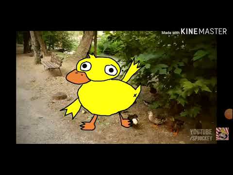 Paperella gay 14 edition