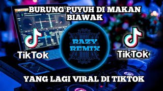 Download lagu DJ BURUNG PUYUH BURUNG KETUT DIMAKAN BIAWAK REMIX VIRAL TIKTOK TERBARU 2022 exported 0 mp3